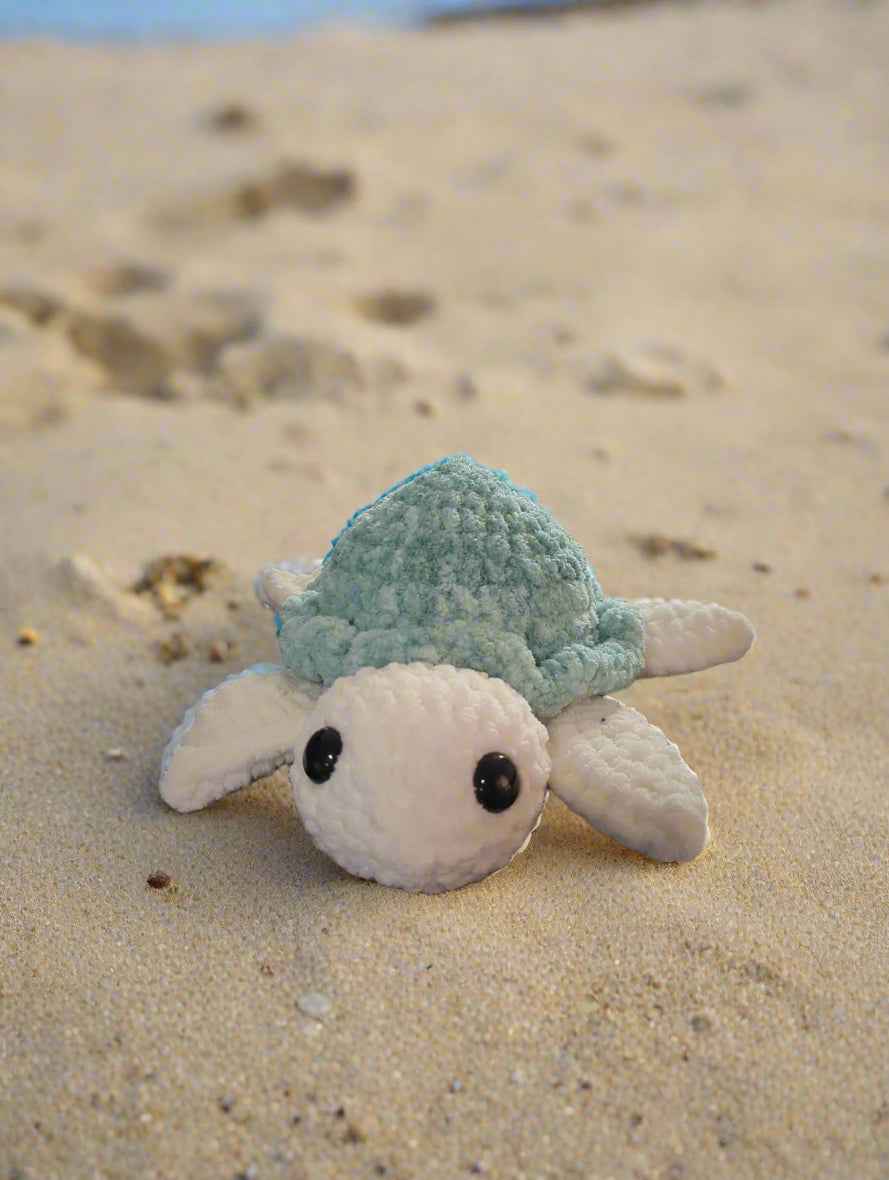 Little Turtles