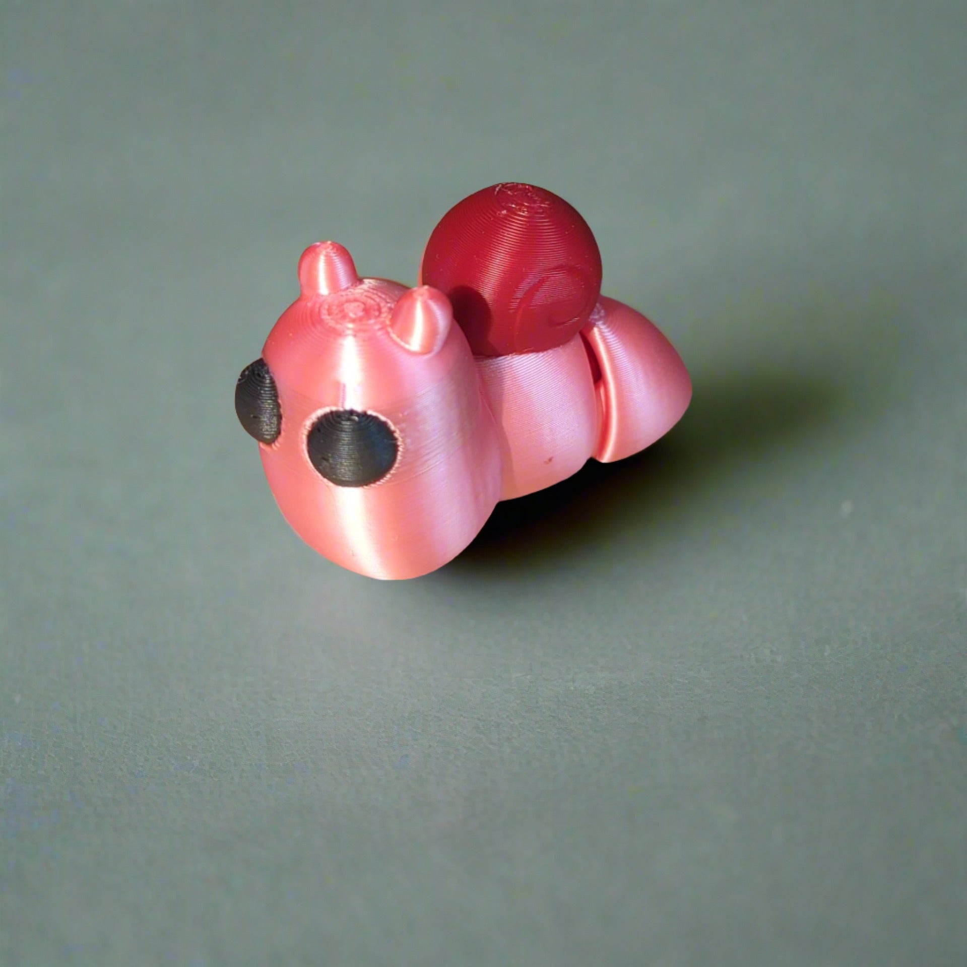 Snails - Shack In The Back Designs