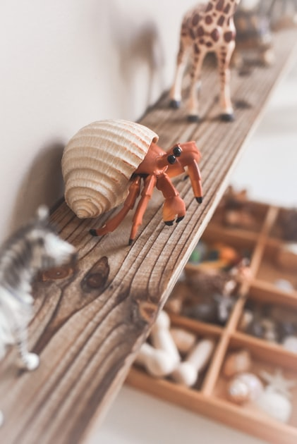 The Rustic Identity of Shack In The Back Designs